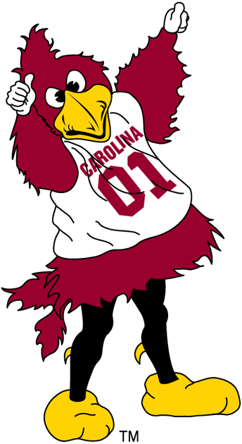 South Carolina Gamecocks 2002-Pres Mascot Logo iron on transfers for fabric